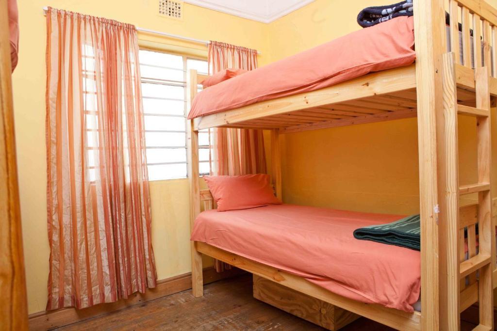 Green Elephant Backpackers Кейптаун Номер фото
